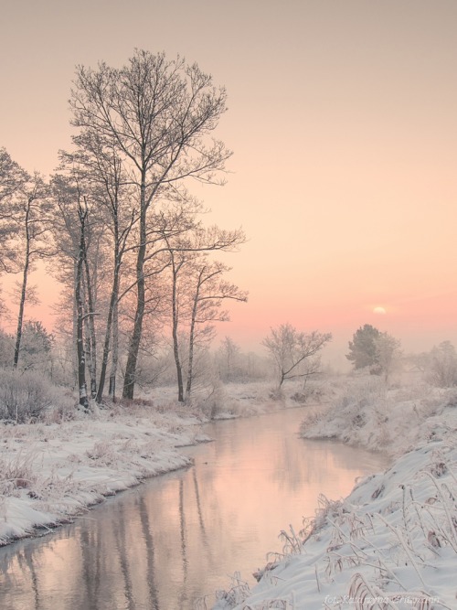 XXX magic-spelldust:  Snowy Pastel Winter Scenes photo