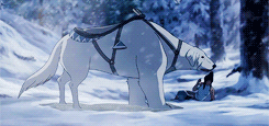 ohmykorra:Korra Appreciation Week, Day 3 (2/10): Animal Companion.