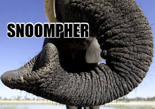 snoomphs, for World Elephant Day