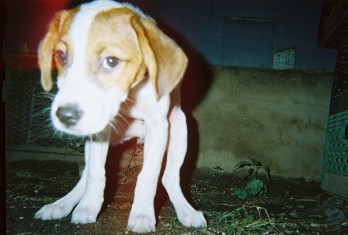 Check out more photos from disposable cameras! ThroughWHOSE Project