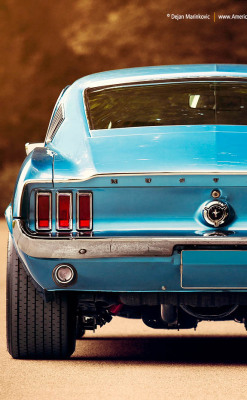 h-o-t-cars:    1967 Ford Mustang | Source   