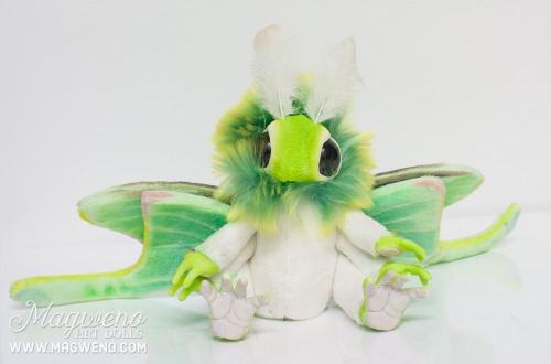 invertebrates:magweno:New Luna mof just finished for a customer! You can order your own luna here! £