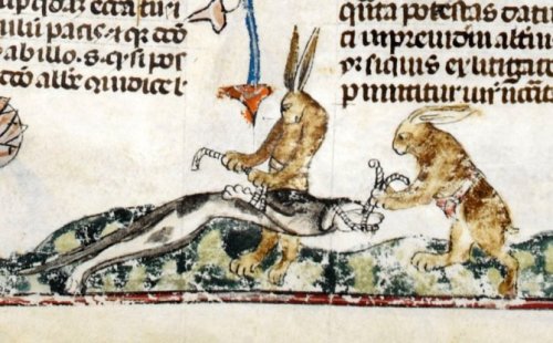 pythox:Medieval Killer Rabbits.