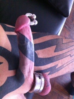 londontim:  Tattooed shaft! 