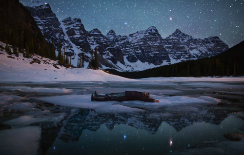 nubbsgalore:  self portratis by paul zizka in banff national park