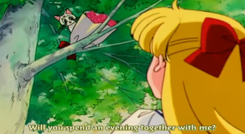 sailormoonsub:sailormoonsub:Minako and Artemis giving each other gifts when they don’t have an