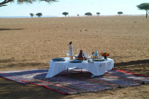 marhaba-maroc-algerie-tunisie: Desert dinner, Merzouga (Morocco)