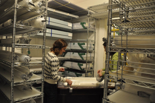 Recently some of The Textile Museum’s non-collections staff members lent a hand preparing our 
