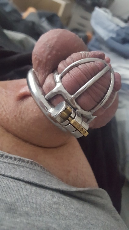 chastityboy98:God damn, I’m horny and my dick won’t stop trying to break free pegging be