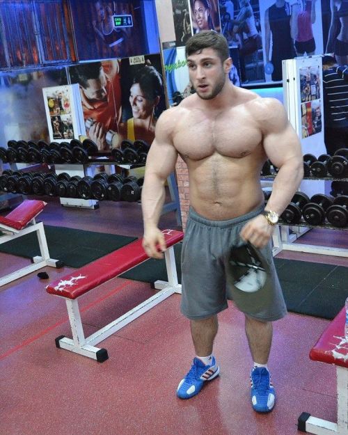 Jocks and Cocks