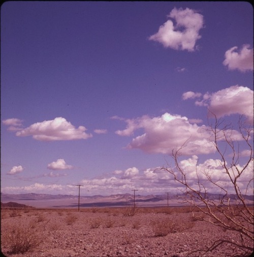twoseparatecoursesmeet - Mojave Desert, 1963Doris Thomas