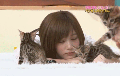tococie: 本田翼