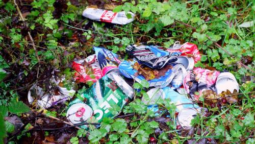 Human Nature?With regret, this is a local Nature Reserve in York. Thankfully there are other sites i