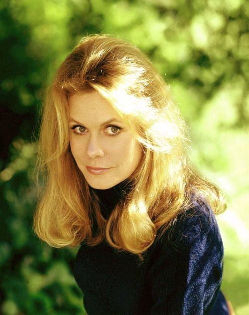 Elizabeth Montgomery Nudes &amp; Noises  