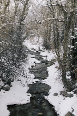 catxlyst:  Little Cottonwood Canyon (by kylesipple☬)