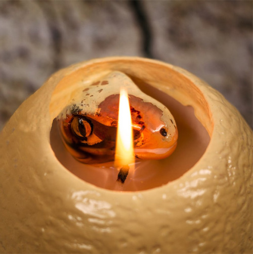 Creative Design: Dinosaur Candle - Yaratıcı Tasarım : Dinozor Mum 