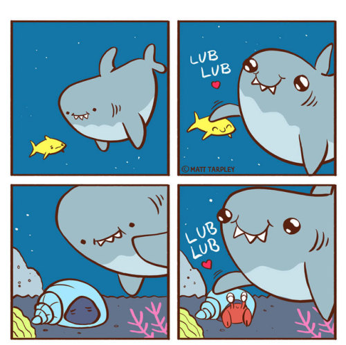 catscafecomics: LUB SHARK