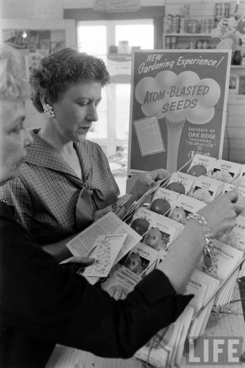 Buying Atom-Blasted Seeds(Grey Villet. 1958)