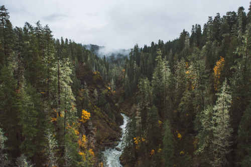 Vance Creek Valley