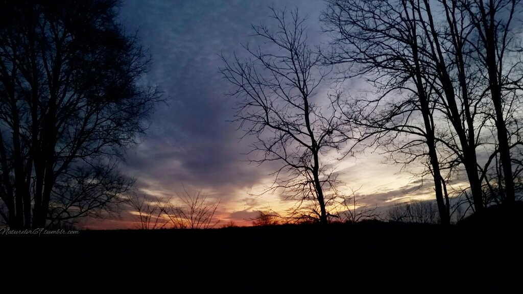 naturelvr69:Good Morning ♋