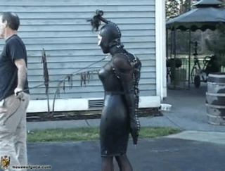 petplayblog:  http://www.houseofgord.com