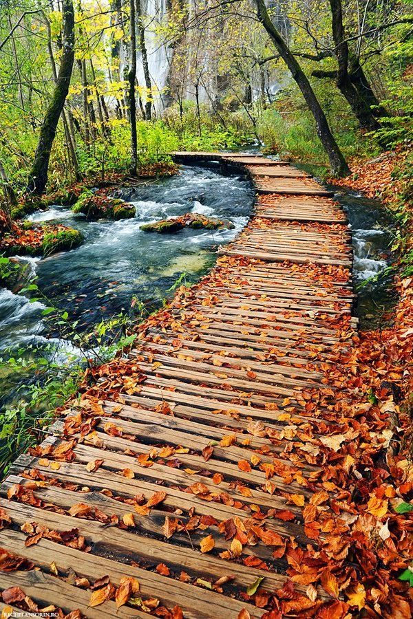 sunflowersandsearchinghearts:    Autumn in Plitvice Lakes National Park, Croatia