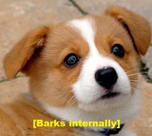 therealhamster:  clicks send on a text halfway through accidentally 
