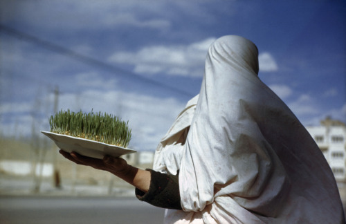 Woman holds plate containing new grain sprouts to celebrate the new year in Tehran, Iran, March 1947