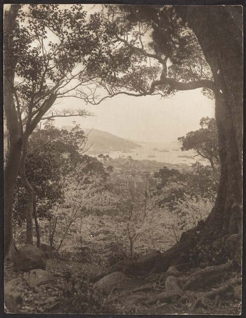 Adolf de Meyer [View from Hillside Toward City and Harbor, possibly Hong Kong], 1900