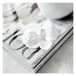 theiconcreative:  My collection is building…one issue at a time…. #portermagazine life http://ift.tt/1S5uA2l 
