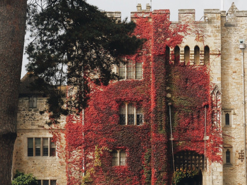 bluereevesphotography:Hever Castle, Kent, the childhood home of Anne Boleyn.
