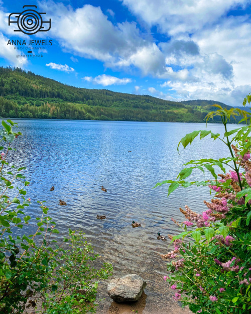 Titisee - Germany (by Anna Jewels (@earthpeek)) https://www.instagram.com/earthpeek/