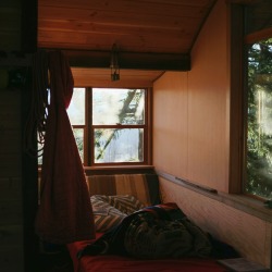 the-cozy-room:  thecindercone:  Waking up