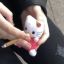 hellokittybby9