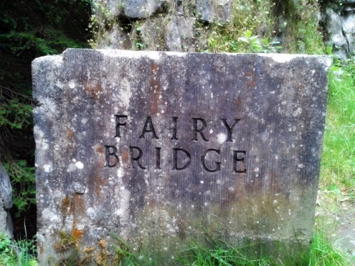 lesbianbreadwinner: Fairy Bridge Lough Key, Forest Park Roscommon, Ireland