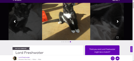 funny pet names found on the internet: Photo