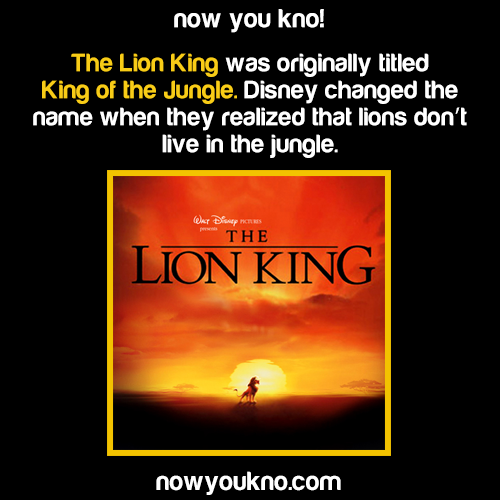 chavirabby:  nowyoukno:  Now You Know more about The Lion King! (Source)  Because this movie is the best movie for every fucken generation to ever inhabit this earth 