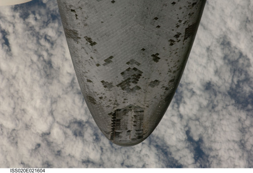 Lizard in Space (Underside of Space Shuttle) [4288x2929]