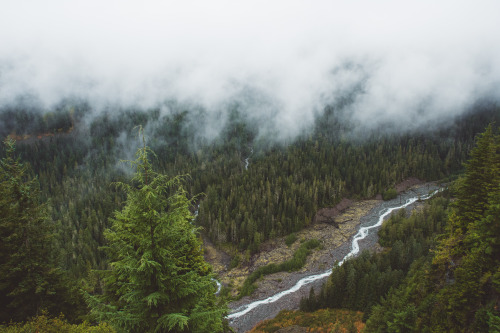 Misty River