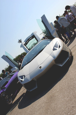 wearevanity:  Lamborghini Aventador | WAV 