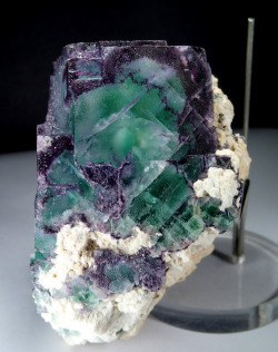 hematitehearts:  FluoriteLocality: Erongo Mountains, Erongo Region,