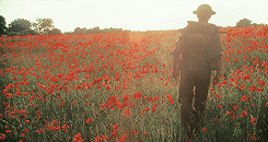 castials:Dearest Cecilia, the story can resume. The one I had been planning on that evening walk. I 