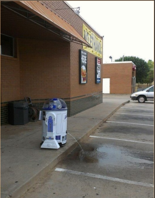 funniestpicturesdaily:  R2P2