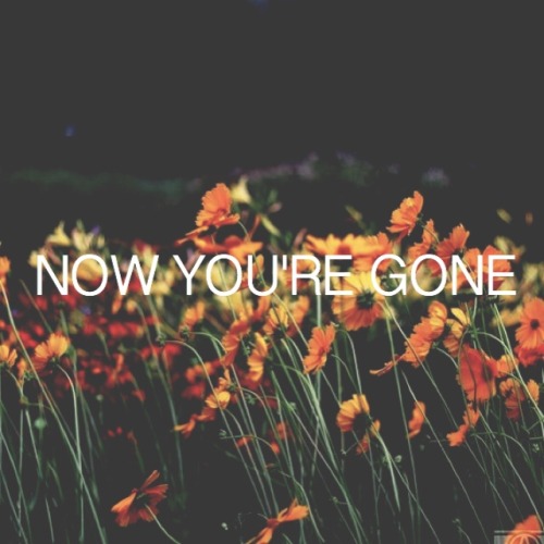 lyricsnquotesx: Fall Out Boy — Miss Missing You