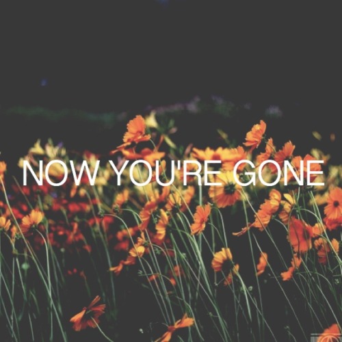lyricsnquotesx: Fall Out Boy — Miss Missing You