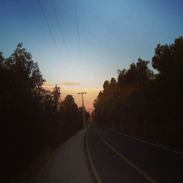 turnedintoeverything:
“ #run runrunrun #santiago #cerrosancristobal #moon
”
running around recently in santiago, desperately trying to run 2 days a week, quite hard with night classes til 9pm and a morning class at 7am.