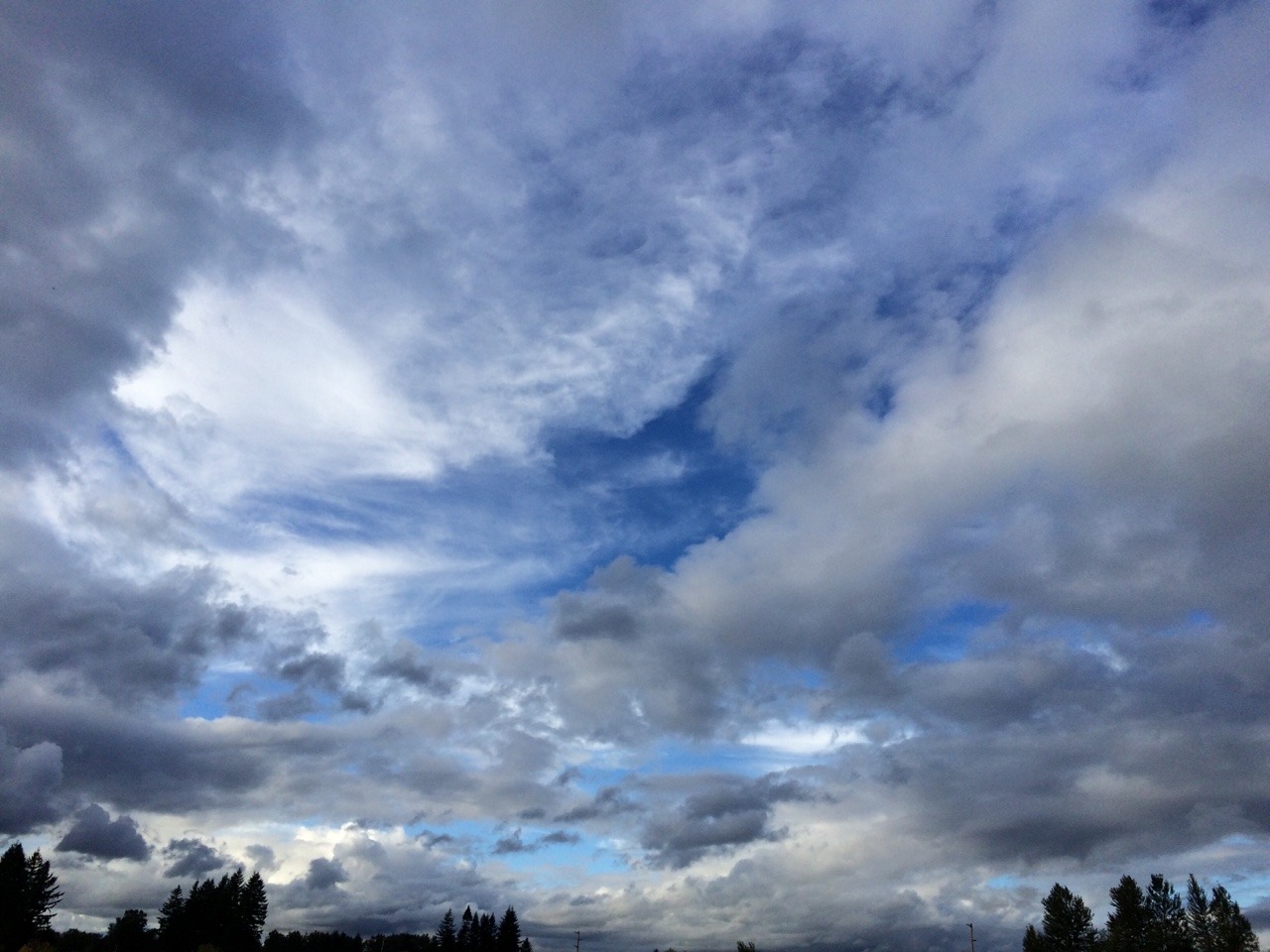aerations:  She got really high so we sat on a big hill and watched the clouds an