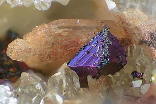 underthescopemineral:Chalcopyrite Locality: Schmiedestollen dump, Wittichen, Schenkenzell, Black F