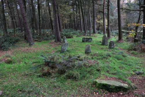 Doll Tor Stone Circle in Autumn, Derbyshire, 26.10.17. Returned today and it seemed very Autumnal; l