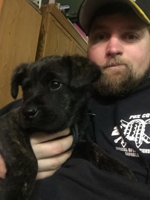Might be getting a puppy tomorrow haha, this is the brother I met on a delivery to my friends house but I want the brown and white one (mostly brown one not mostly white one)